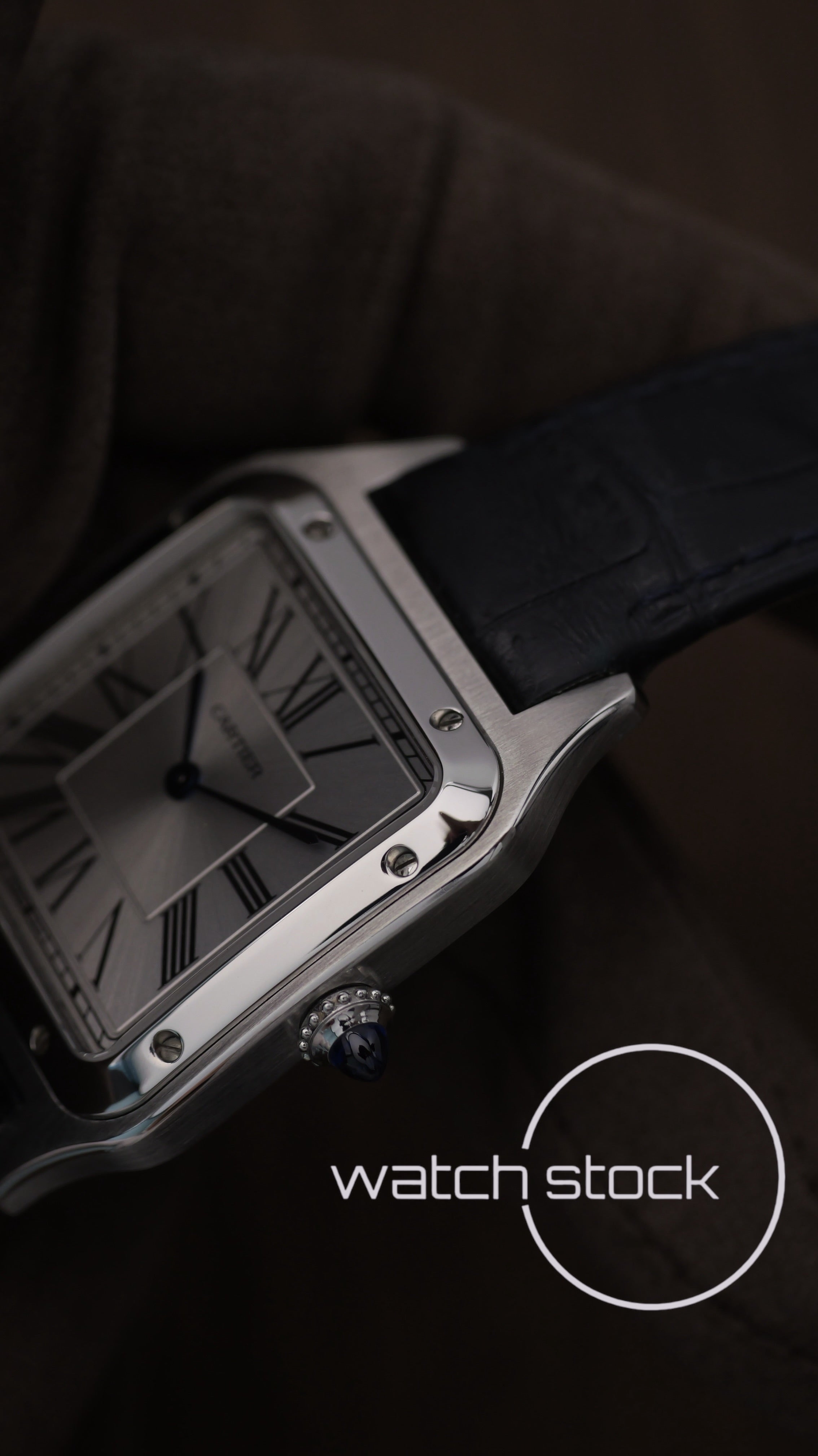 Cartier santos dumont Medium ref. WSSA0022 Full Set anno 2023