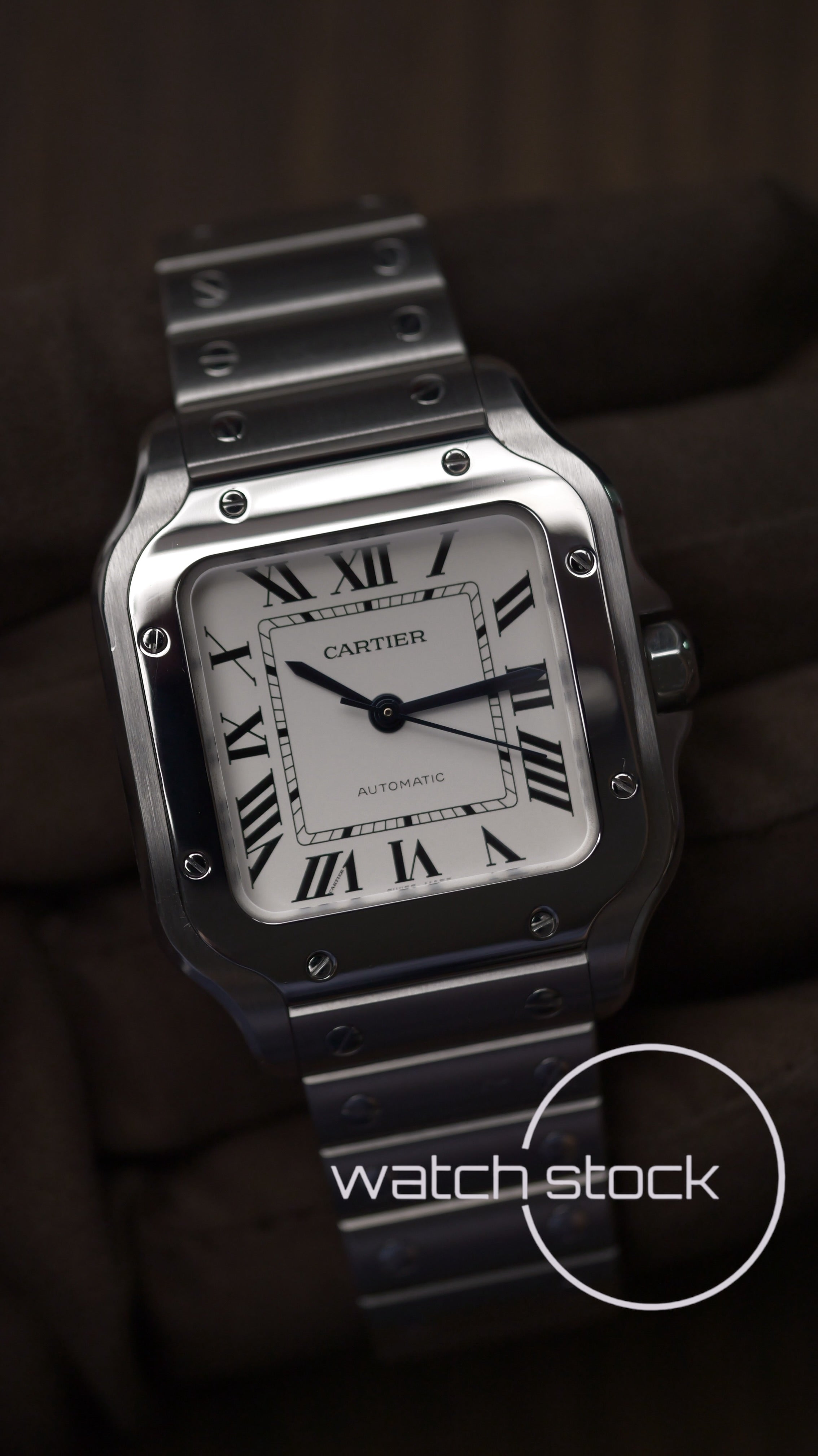 Cartier Santos Medium WSSA0029 Full Set 2018