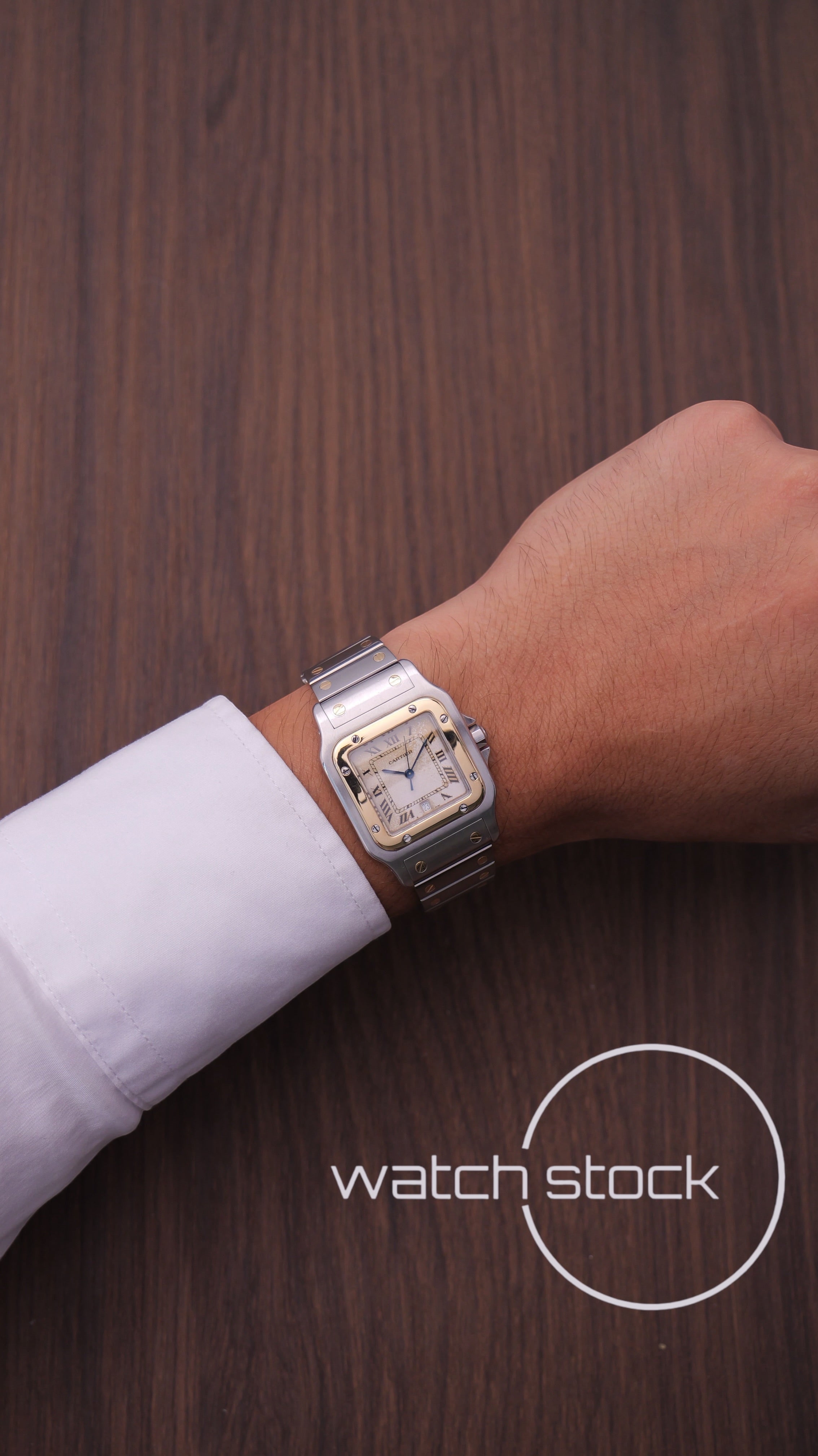 Cartier santos galbee Tropical dial 29x41mm Ref. 187901