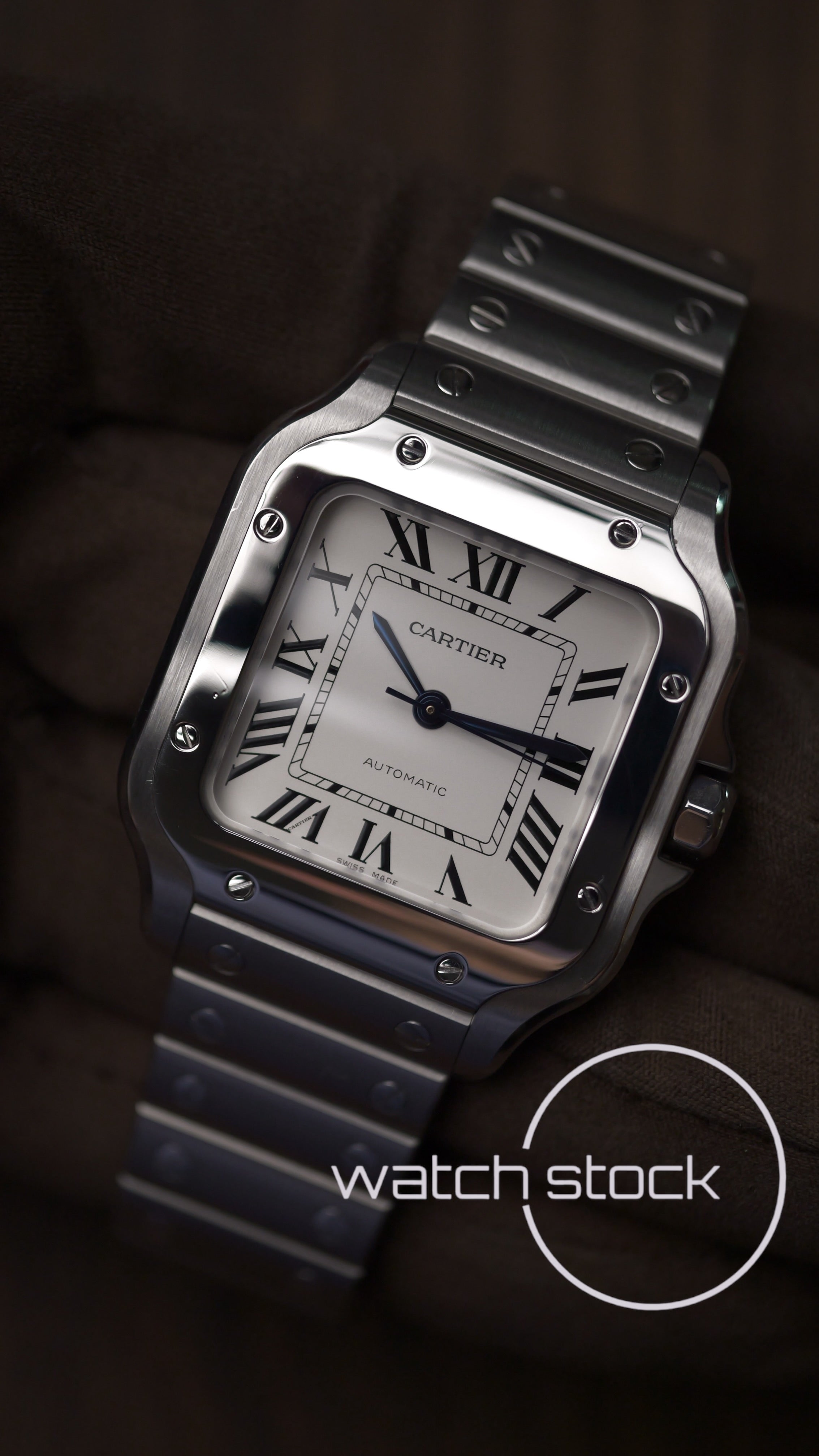 Cartier Santos Medium WSSA0029 Full Set 2018