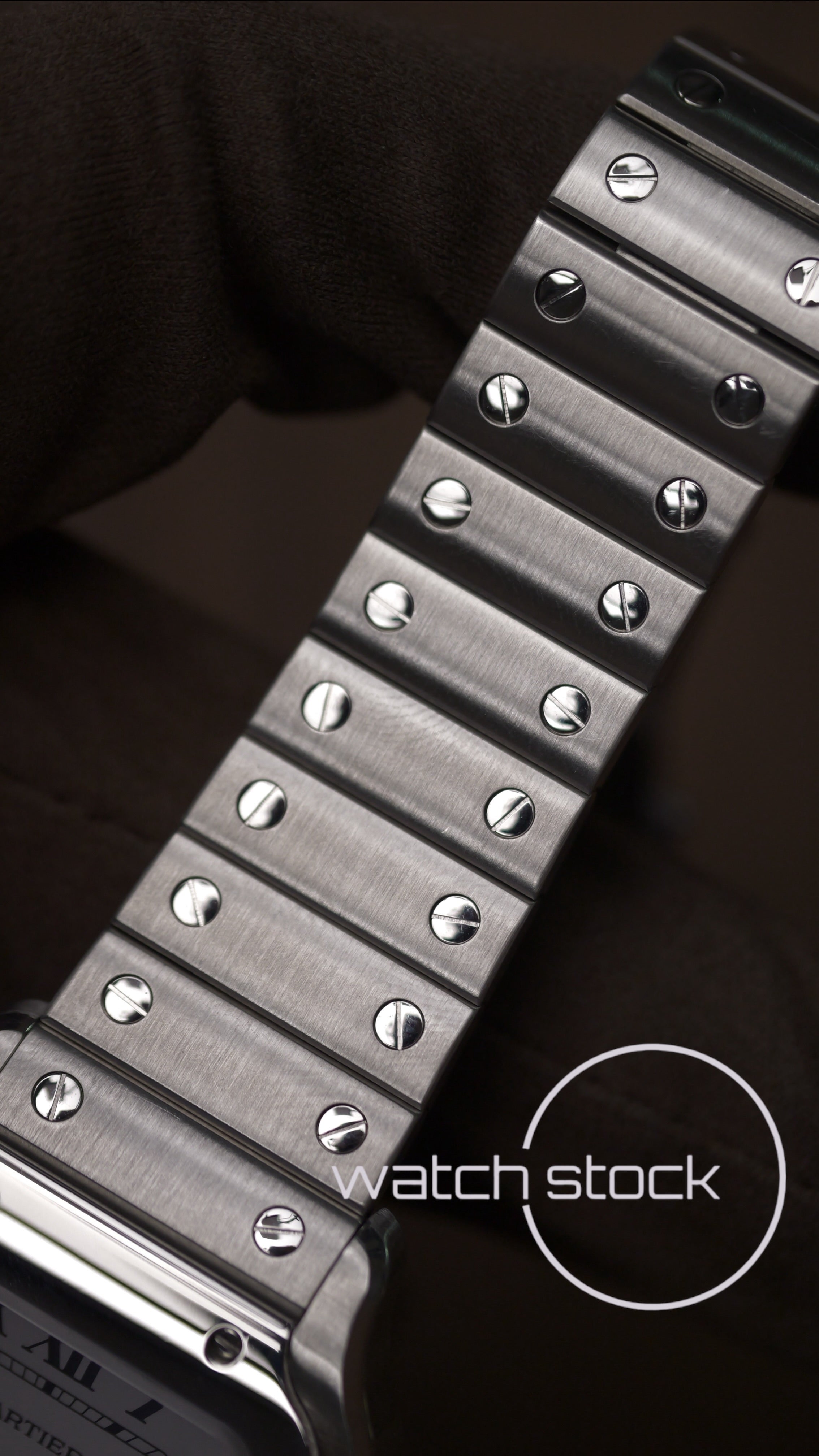 Cartier Santos Medium WSSA0029 Full Set 2018