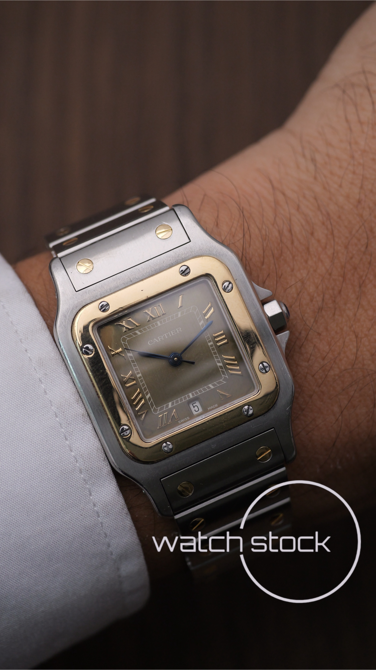 Cartier santos galbee Tropical dial 29x41mm Ref. 187901