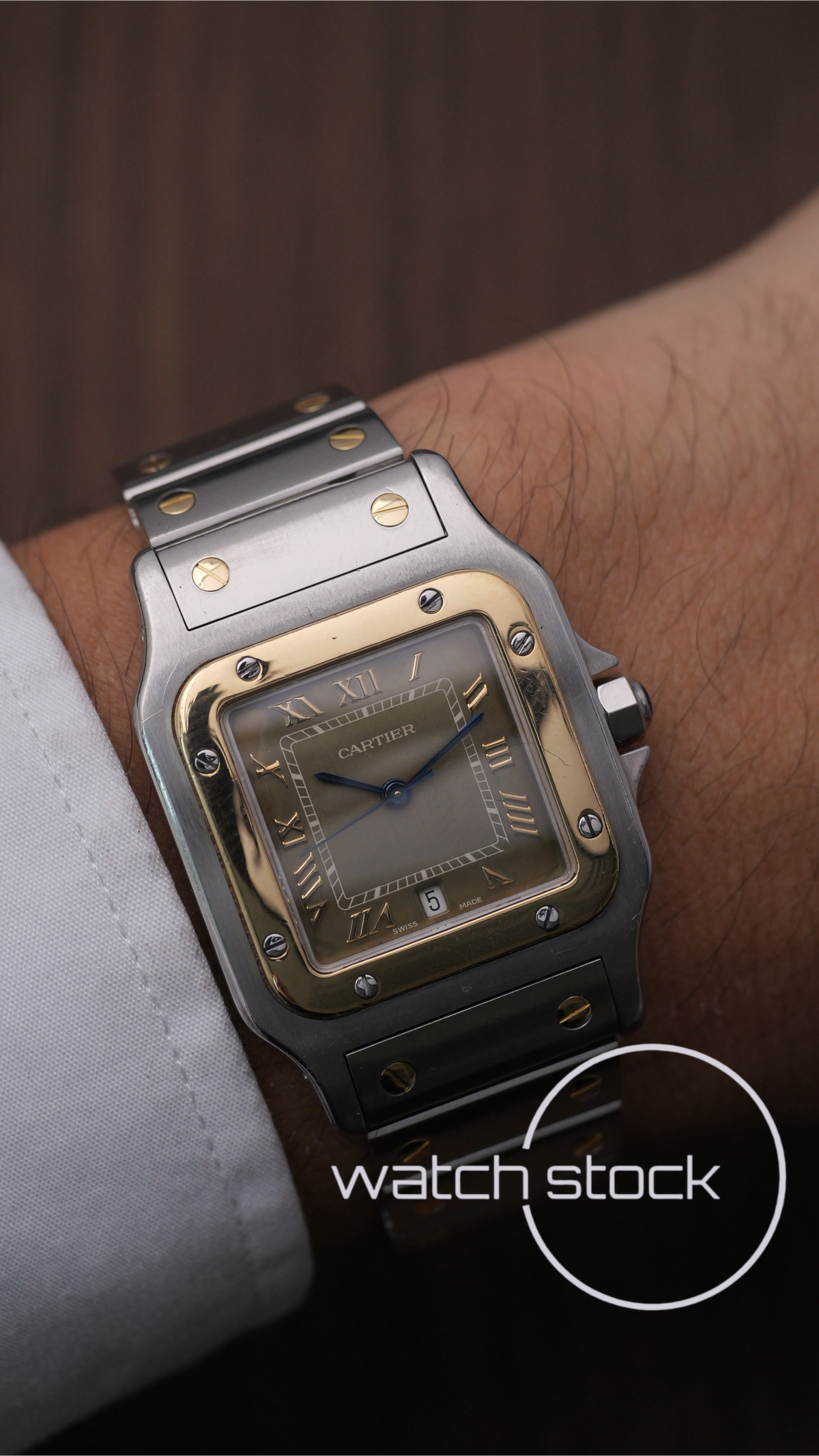 Cartier santos galbee Tropical dial 29x41mm Ref. 187901