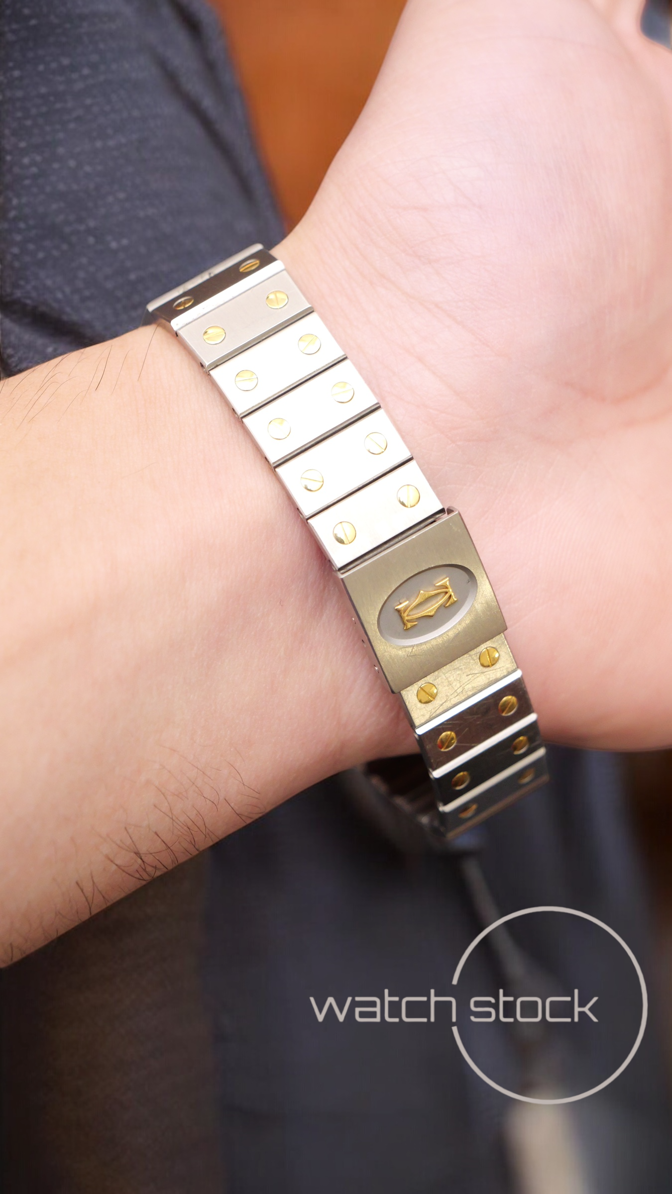Cartier santos carré 29x41mm santos de cartier 2961 Automatic