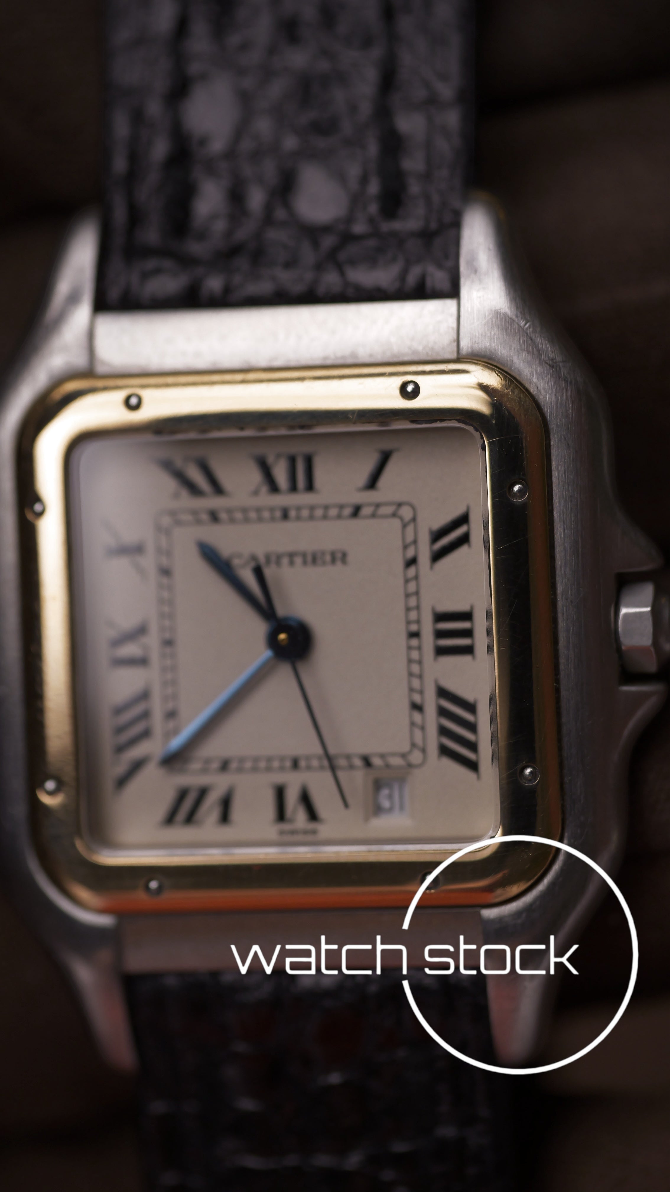 Cartier panthere medium 26x36mm ref.183949