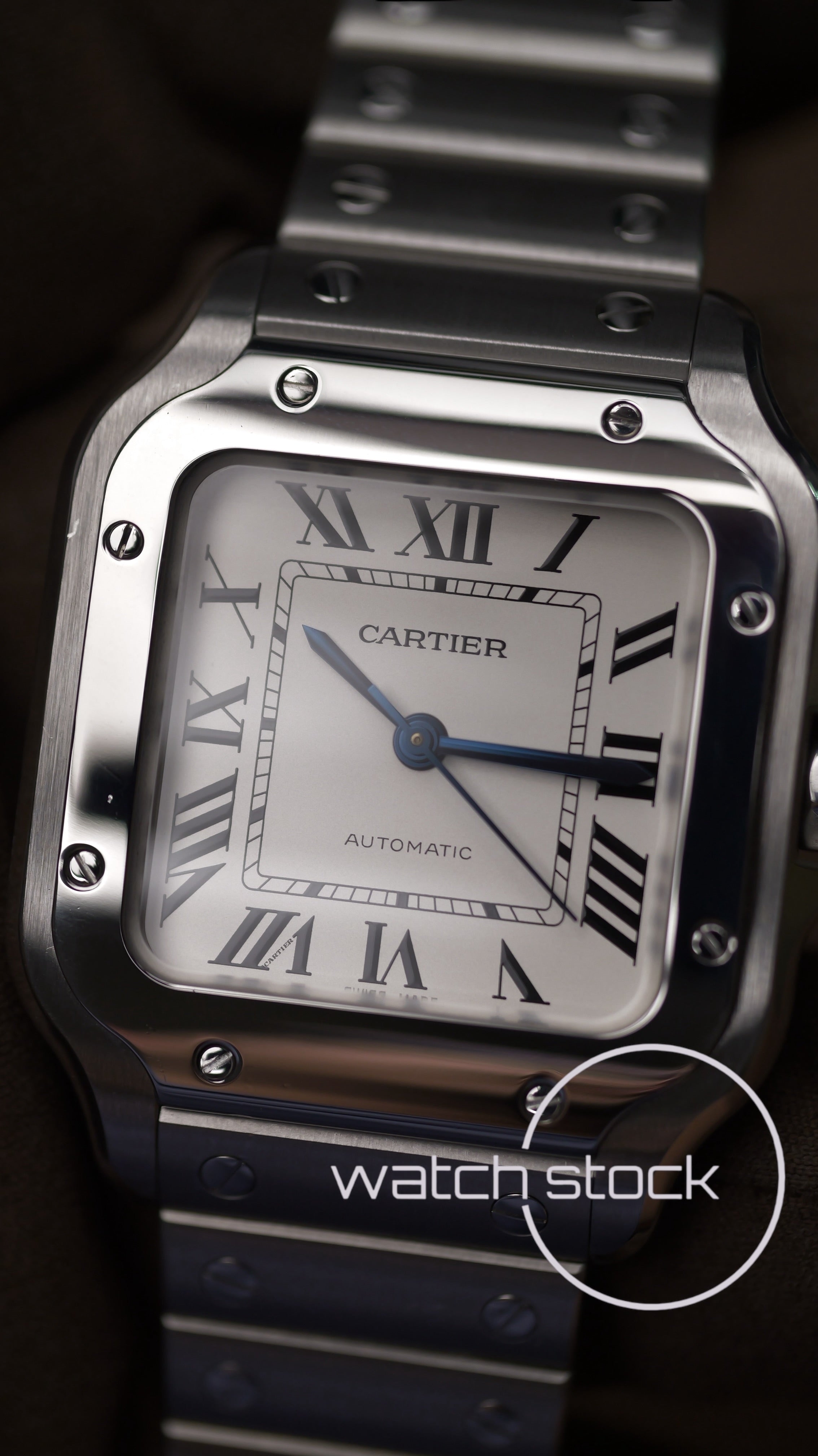 Cartier Santos Medium WSSA0029 Full Set 2018