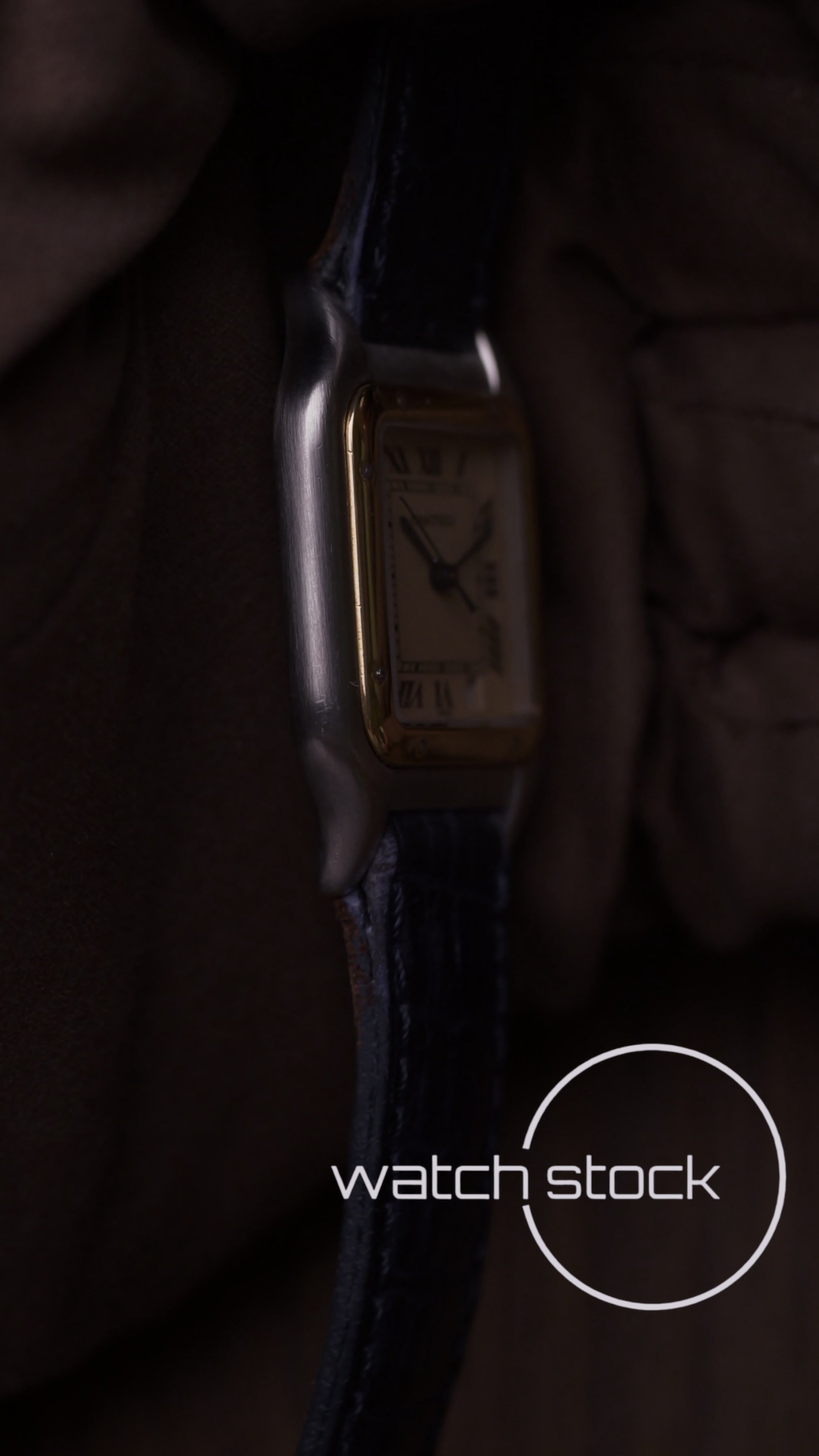 Cartier panthere medium 26x36mm ref.183949