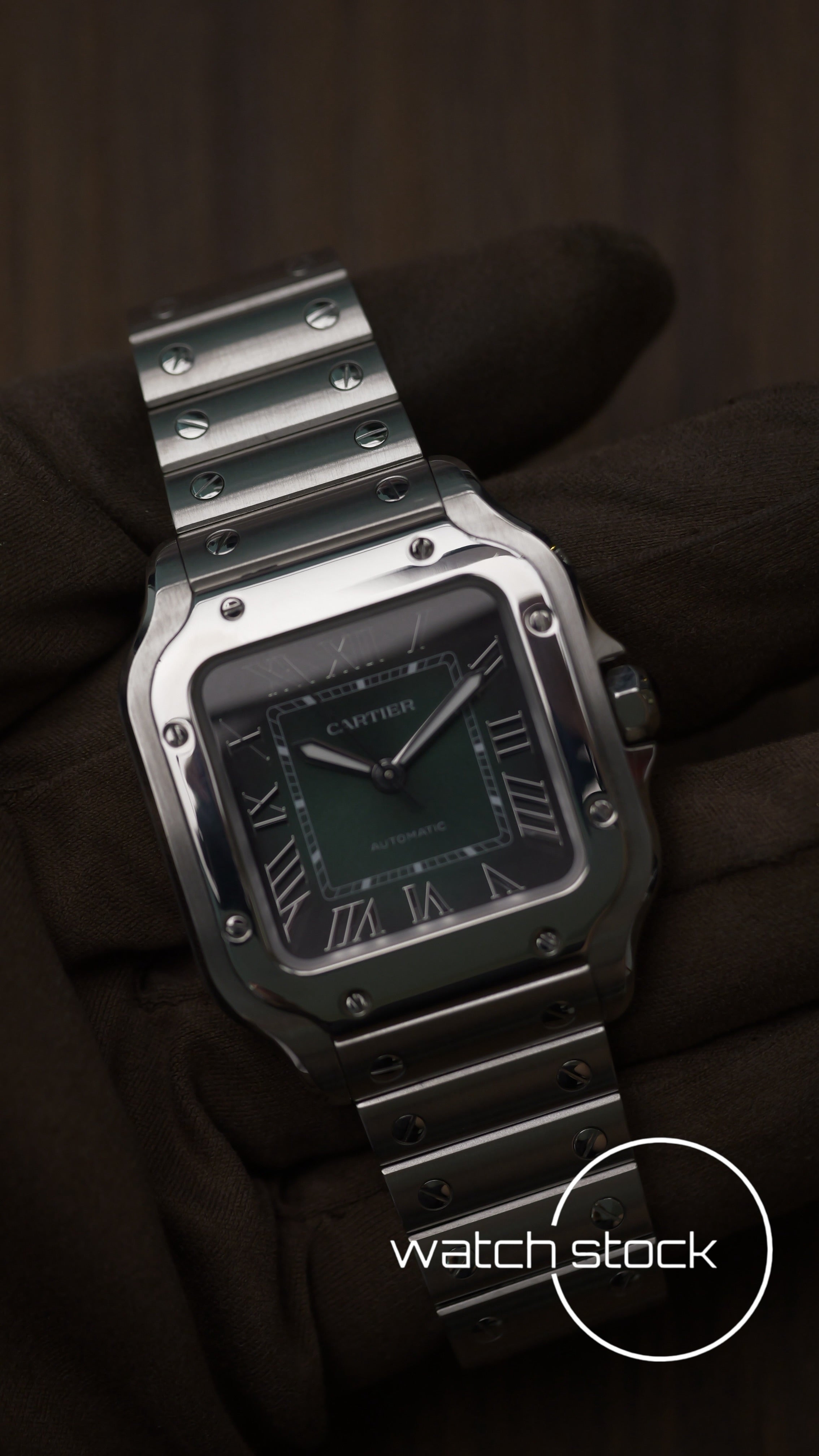 Cartier Santos Medium green WSSA0029 Full Set 2025