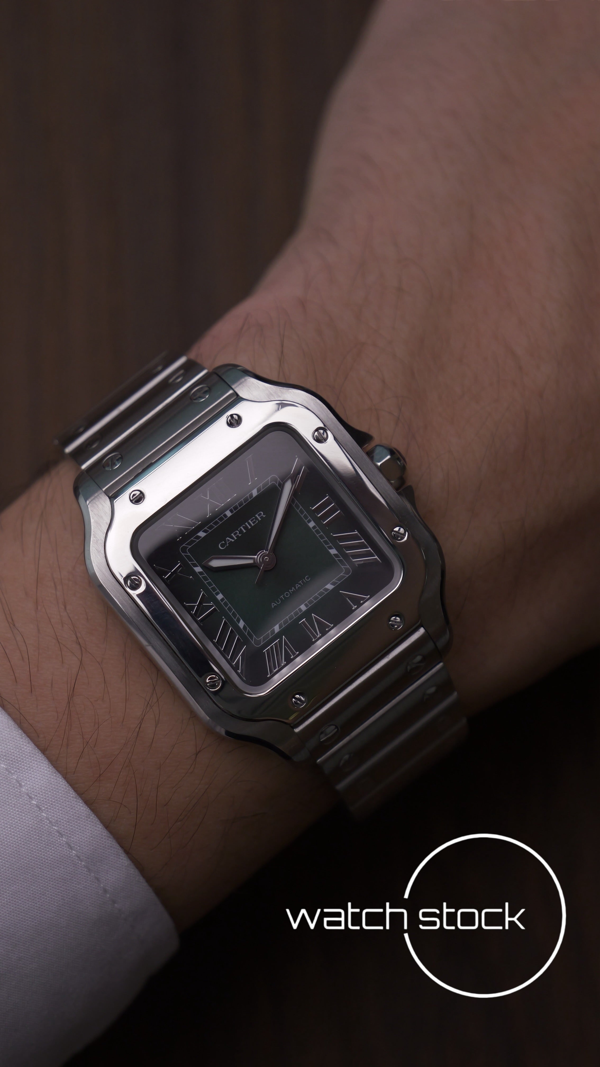 Cartier Santos Medium green WSSA0029 Full Set 2025