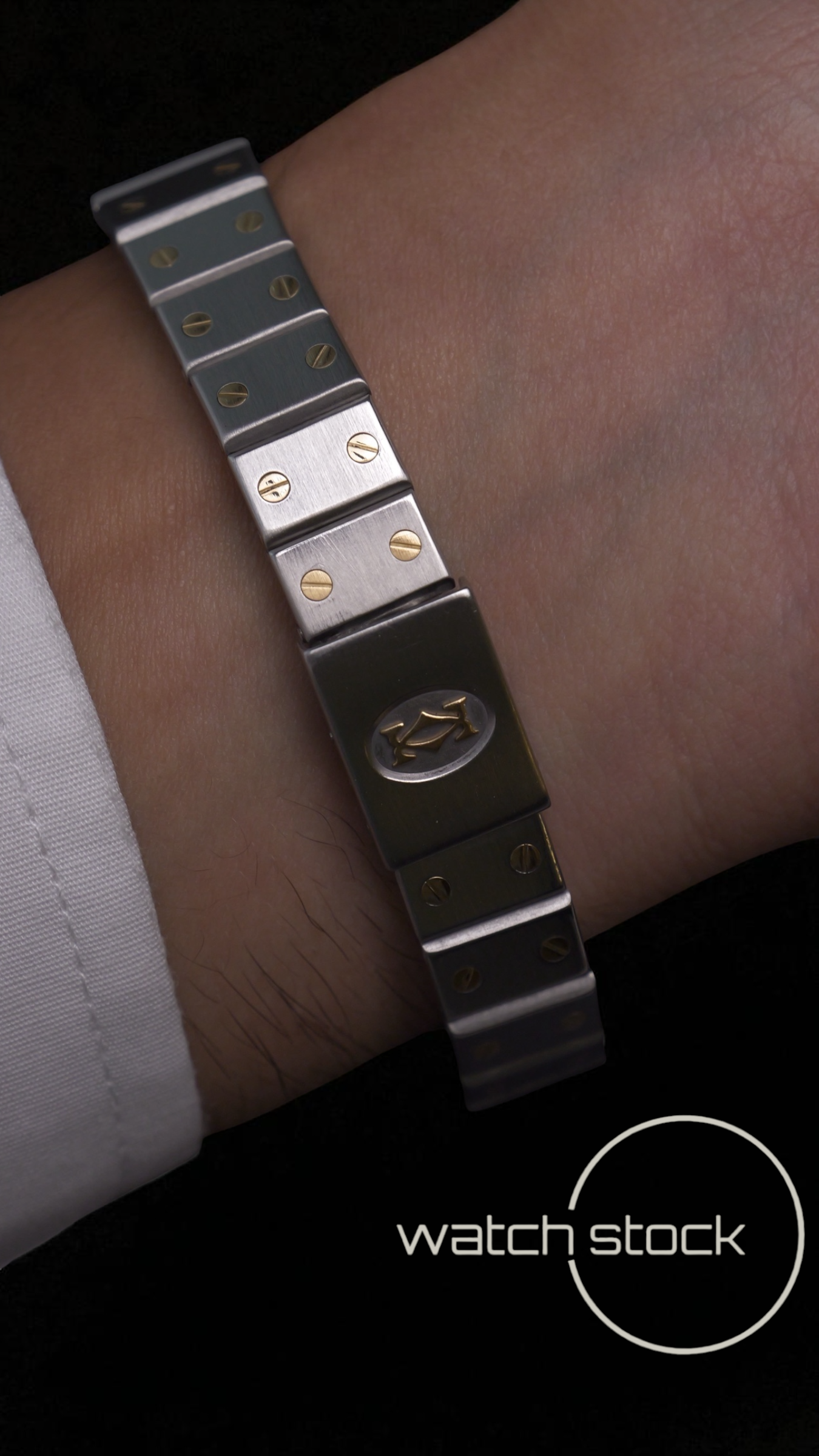 cartier santos lady 24mm watch-stock