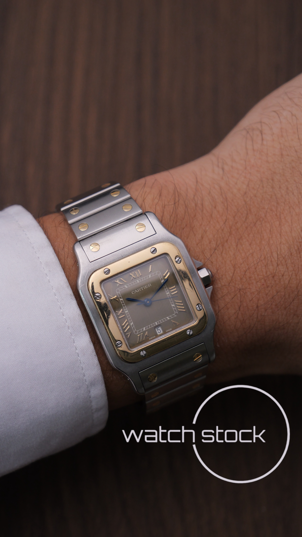 Cartier santos galbee Tropical dial 29x41mm Ref. 187901