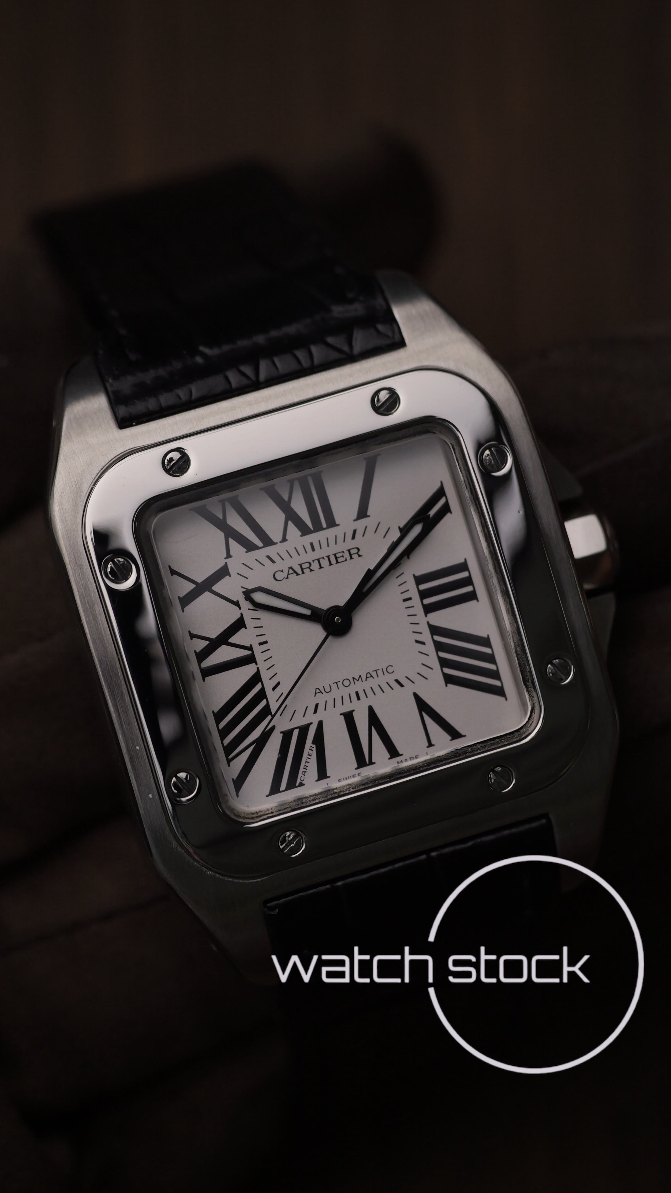 Cartier santos 100 medium ref.2878 2024 Automatic FULL SET