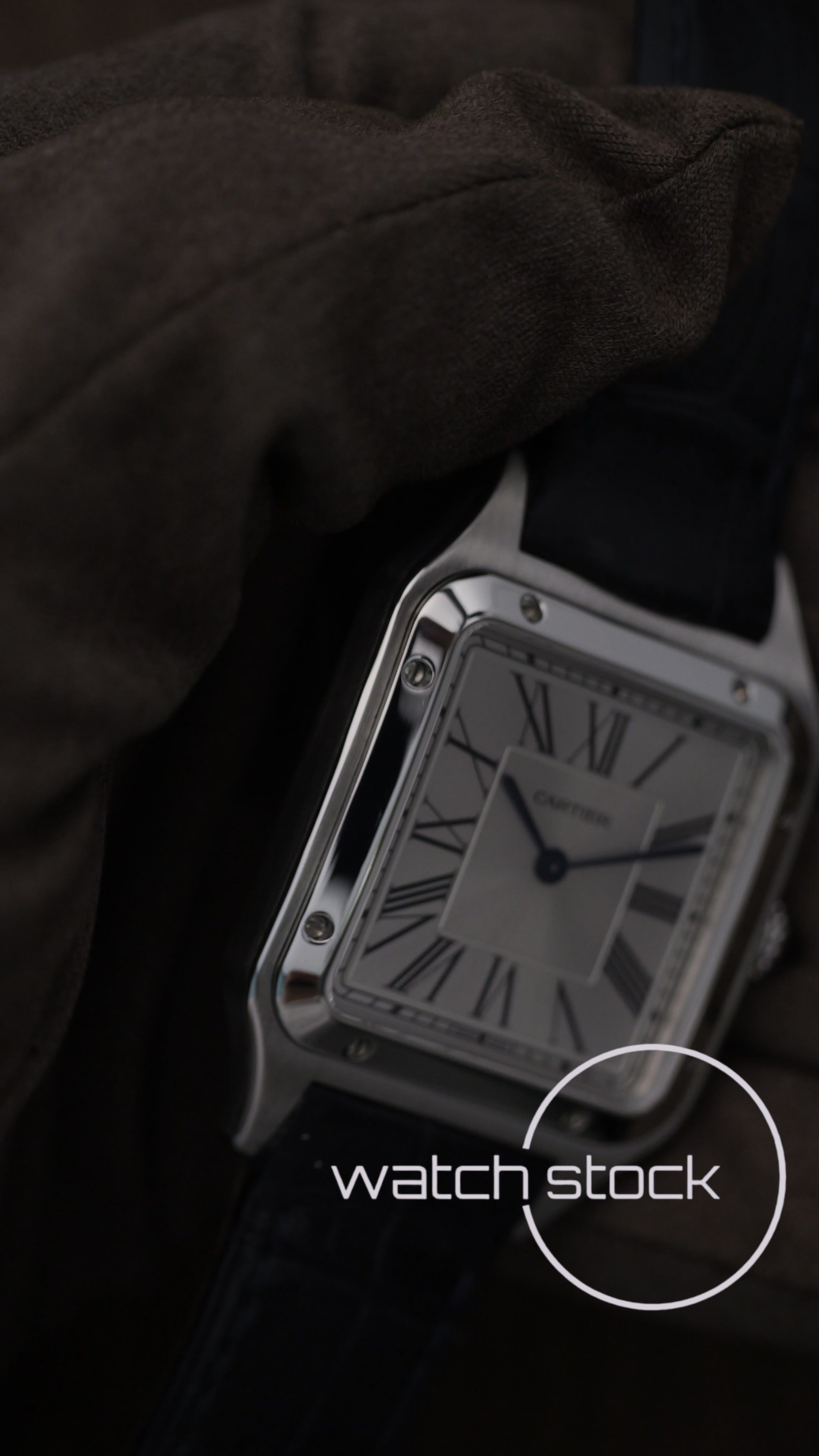 Cartier santos dumont  Medium ref. WSSA0022 Full Set anno 2023