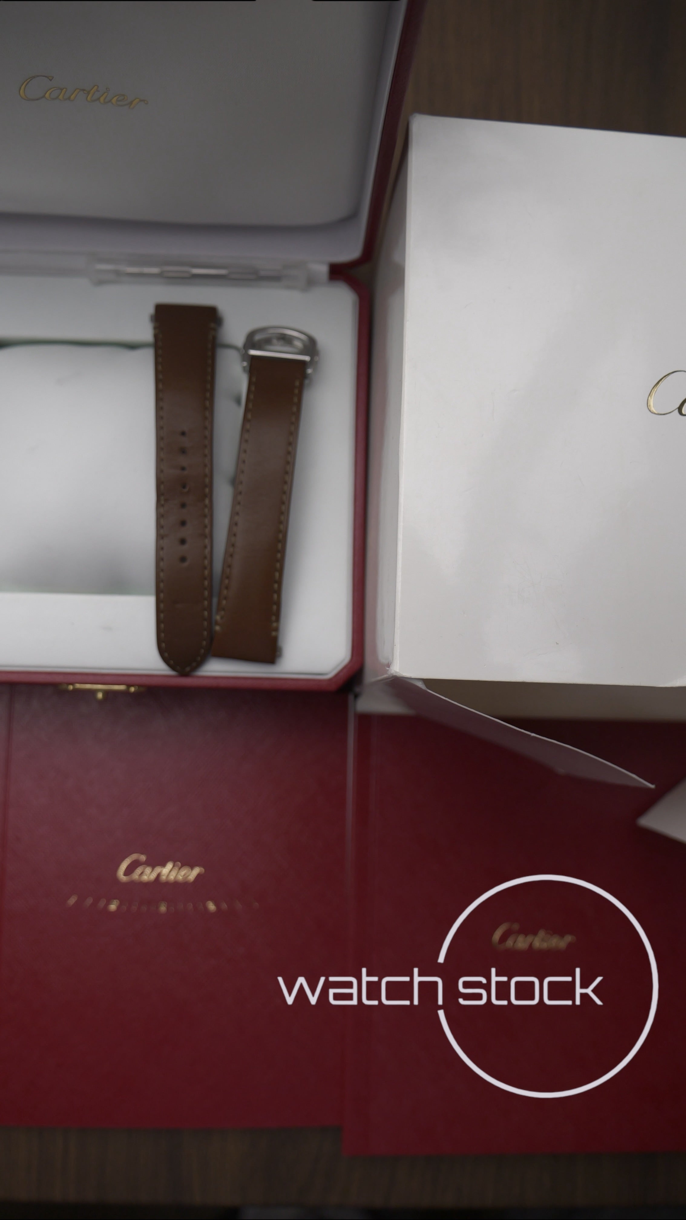 Cartier Santos Medium WSSA0029 Full Set 2018