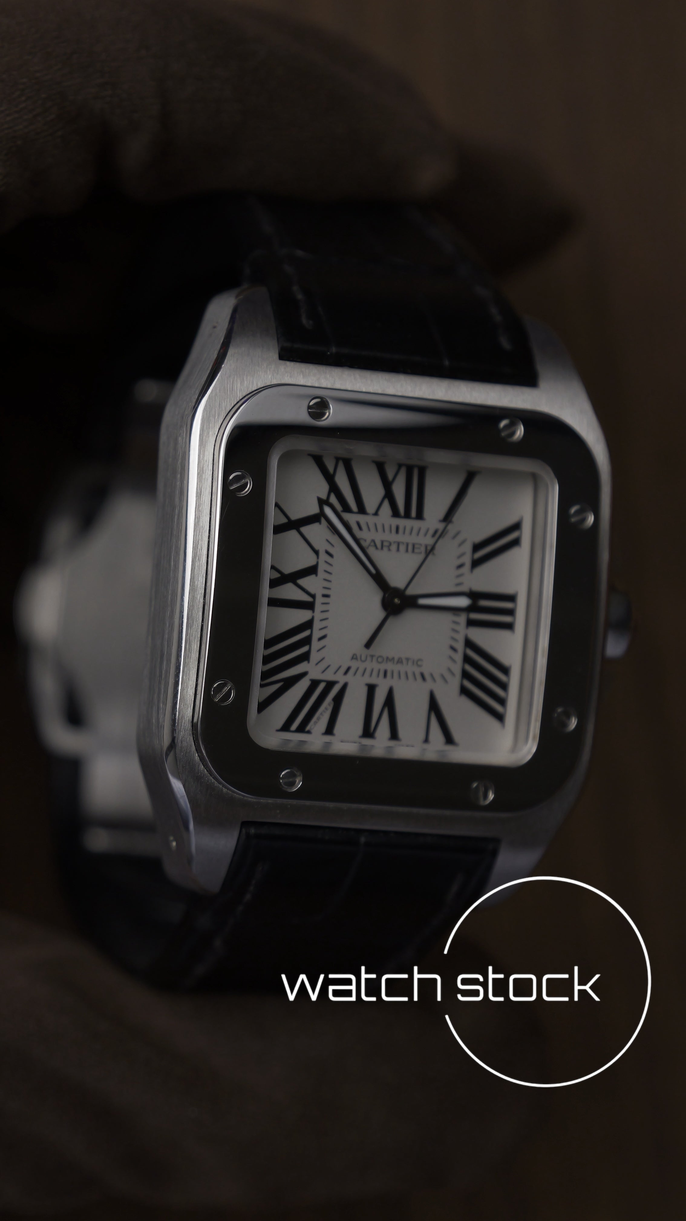 Cartier santos 100 medium ref.2878 2024 Automatic FULL SET