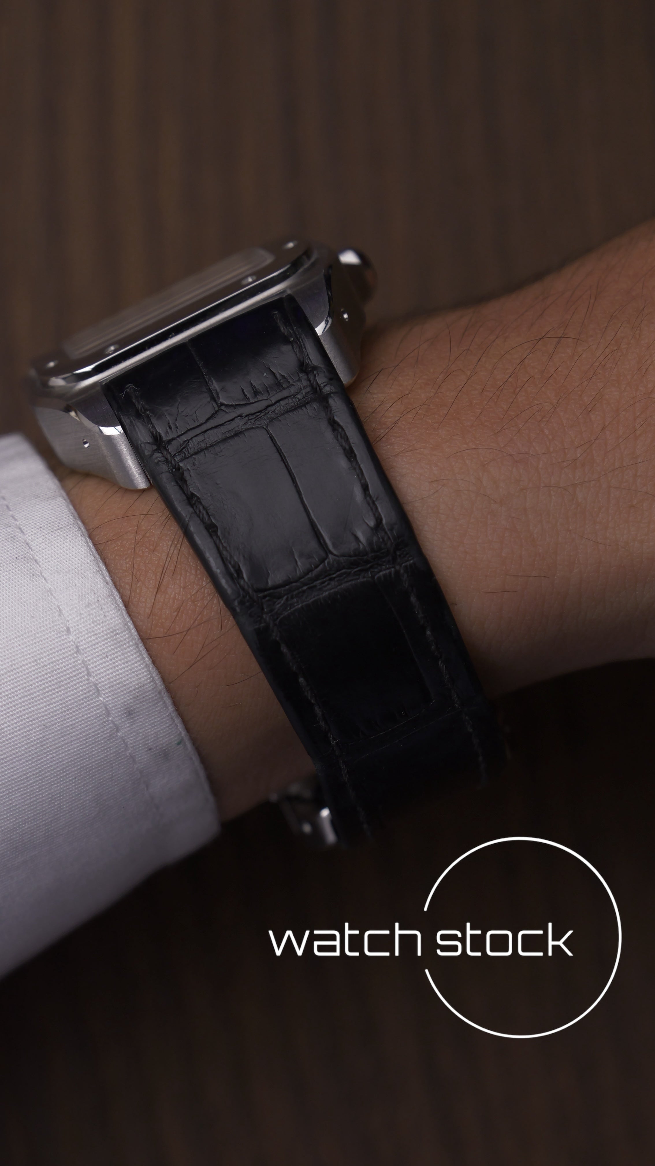 Cartier santos 100 medium ref.2878 2024 Automatic FULL SET