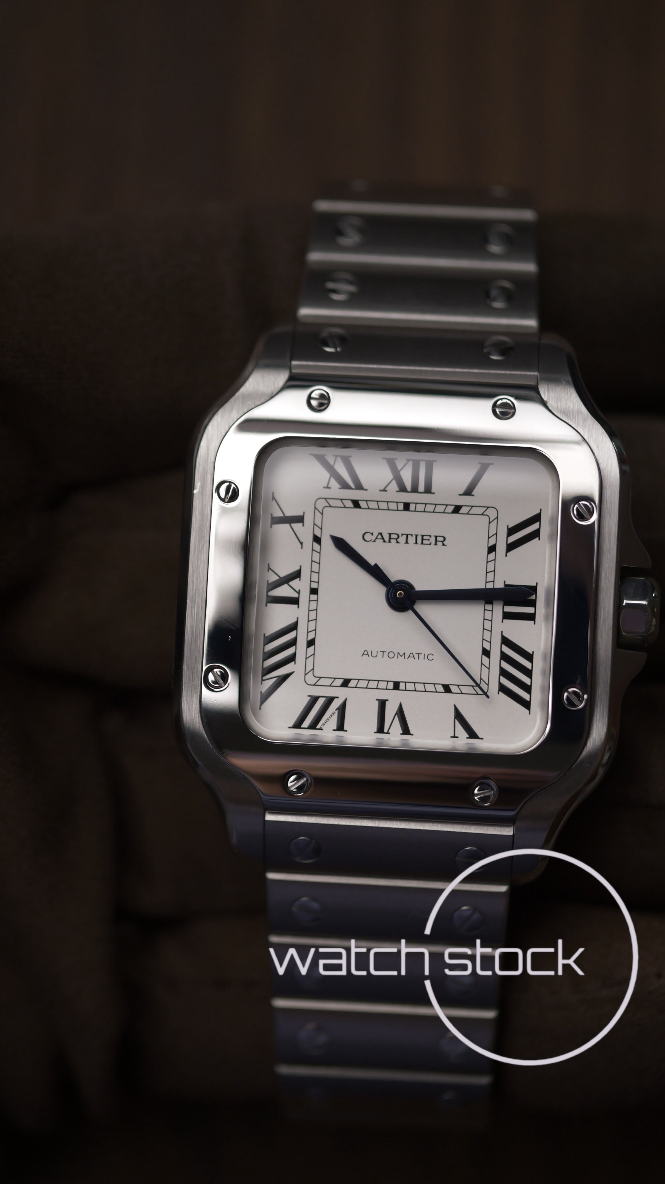 Cartier Santos Medium WSSA0029 Full Set 2018